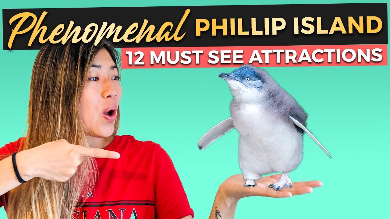 12 UNFORGETTABLE Things to do on PHILLIP ISLAND, Melbourne