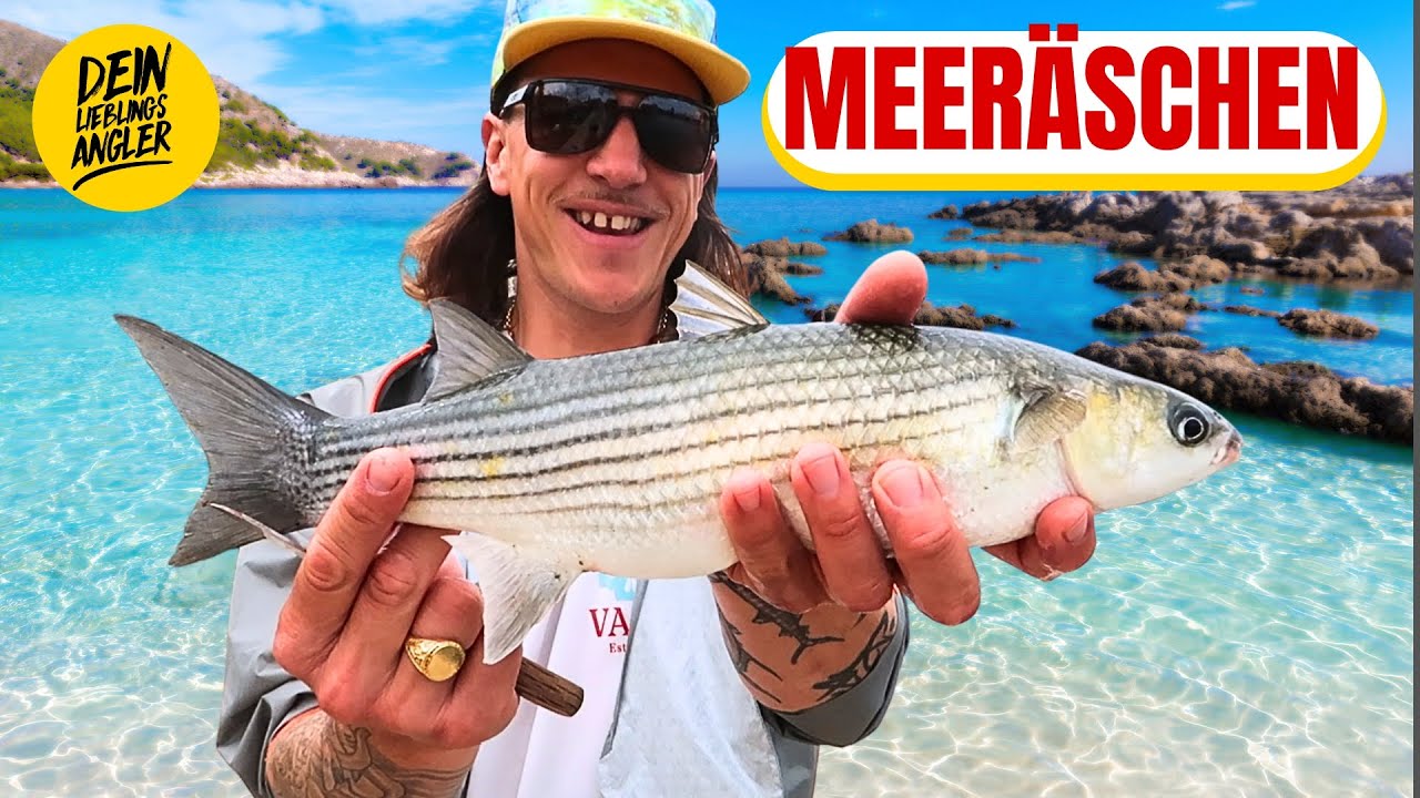 Zu 99% FISCHE im Mittelmeer-Urlaub CATCHEN! Erfolgreich auf MEERÄSCHEN