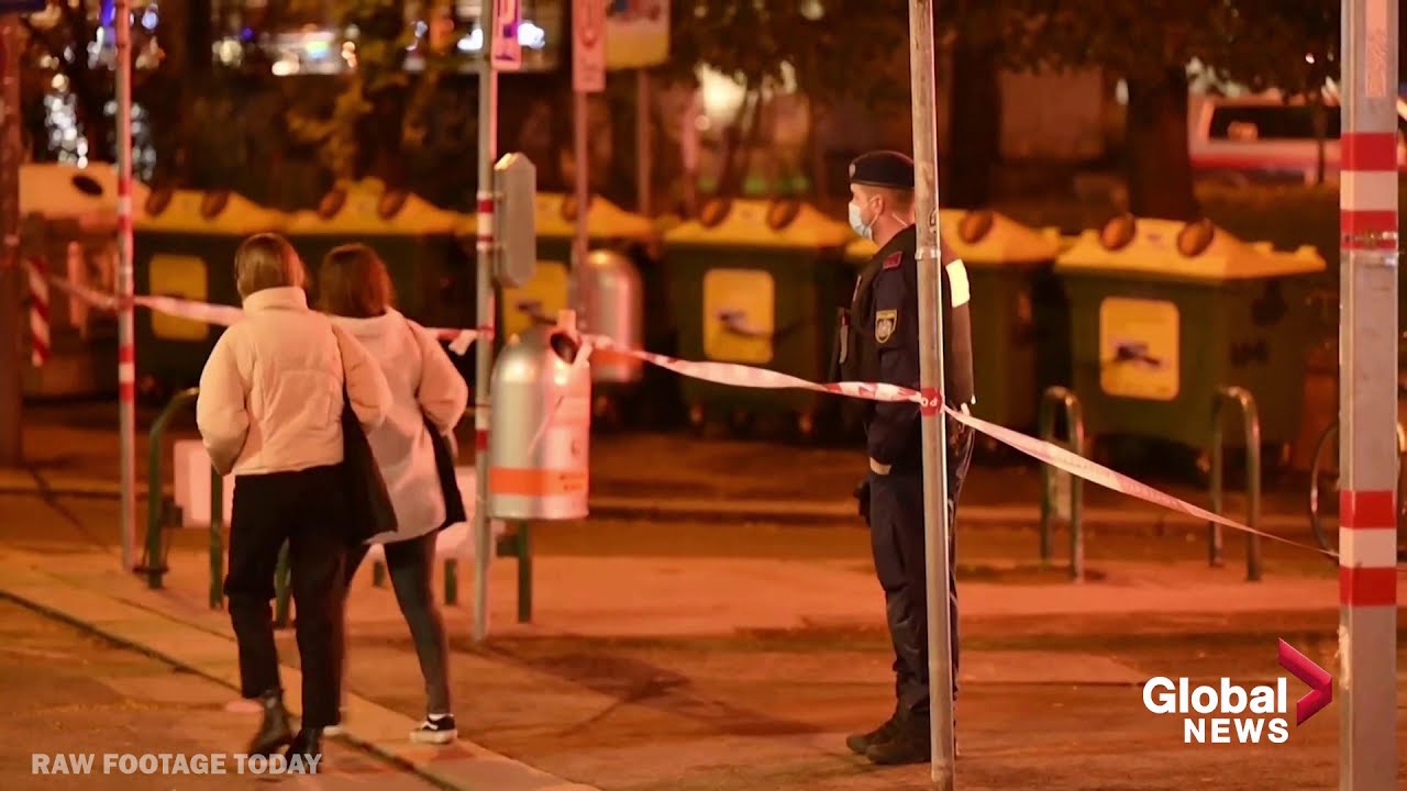 Vienna shooting authorities believe main suspect acted alone in attack that killed 4