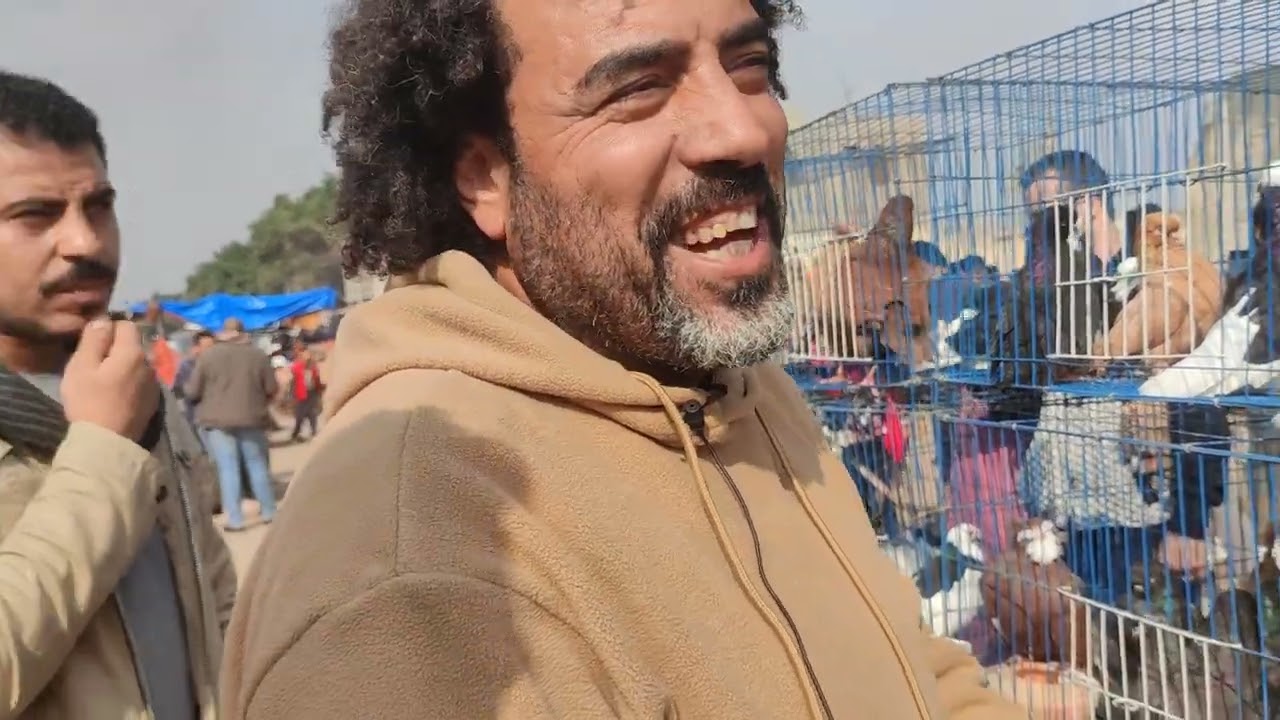 لايف من سوق السيدة عائشة وحمامي بفضل الله التواصل 01014178127