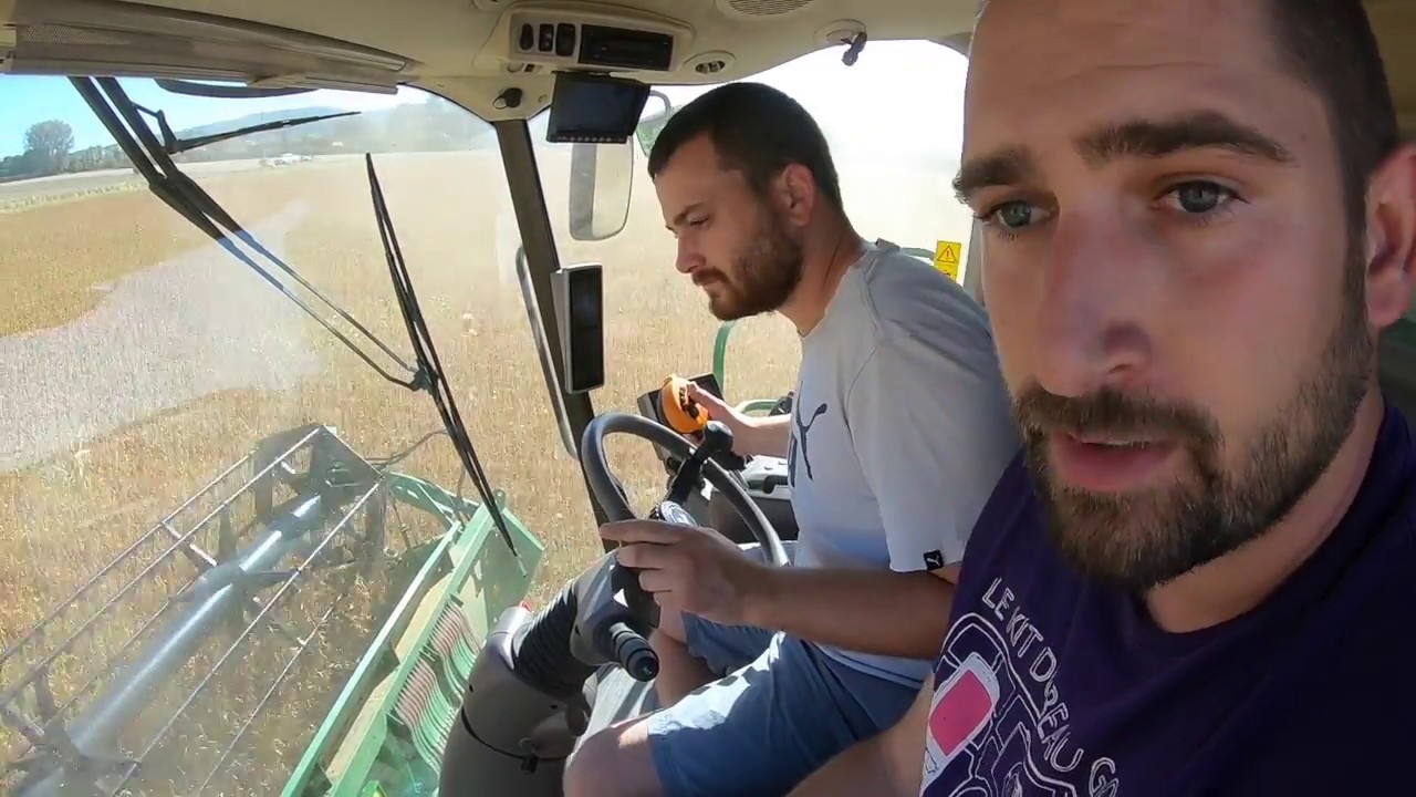 La récolte du soja biologique
