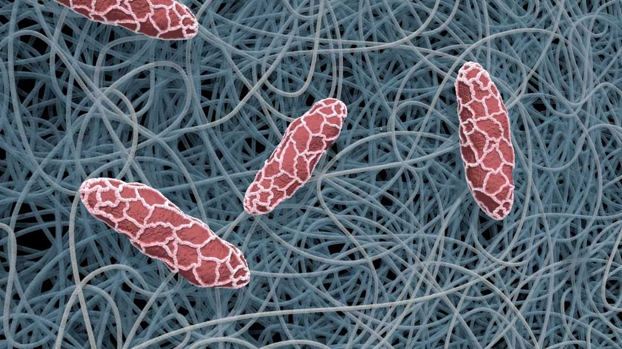 Nanofibers
