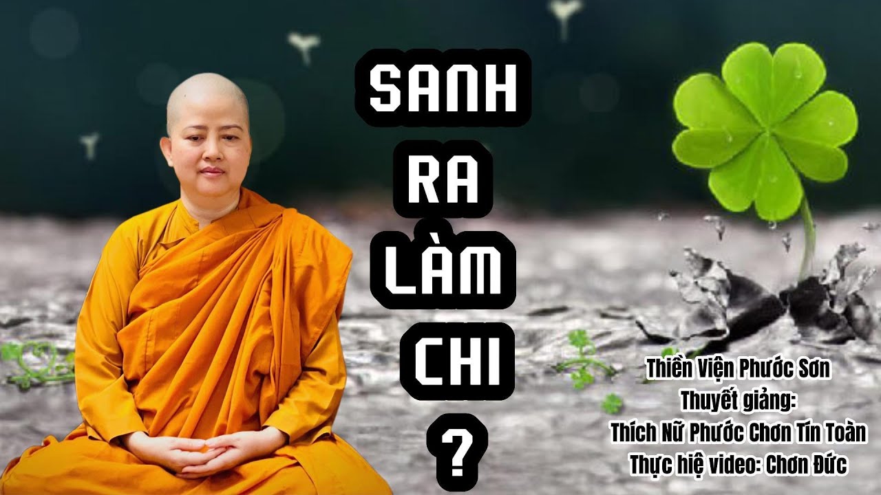 SANH RA LÀM CHI ? _ Chơn Tín Toàn