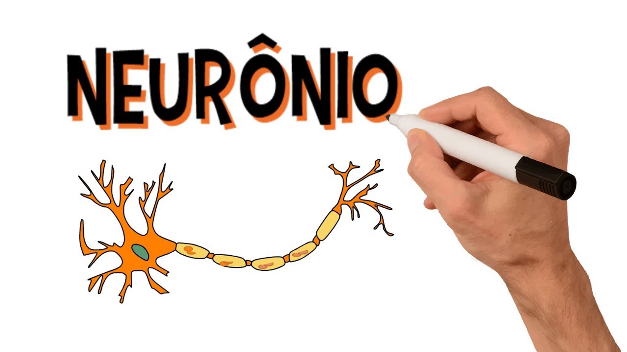 ✅ NEURÔNIOS e NEUROTRANSMISSORES | Estrutura