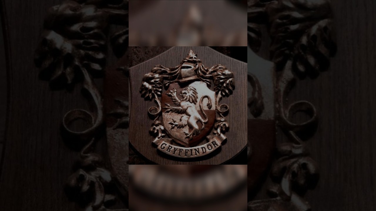 Gryffindor! #harrypotter #hogwarts #sortinghat