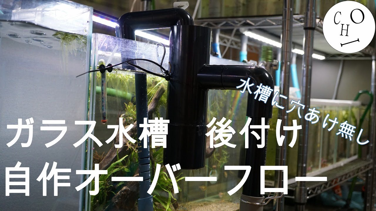 【自作オーバーフロー】穴あけ無しでコリドラス水槽をオバーフロー化！【アクアリウム】