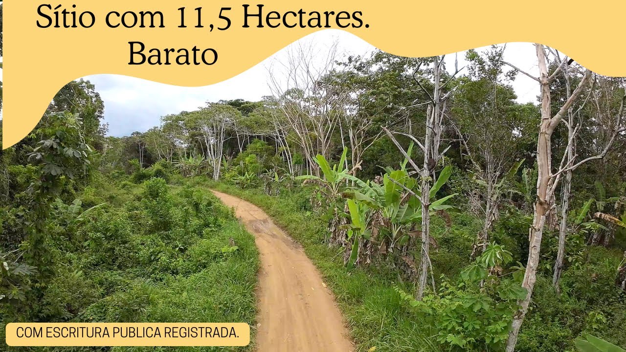 Sítio com 11,5 Hectares.  Sul da Bahia. R$ 126.500,