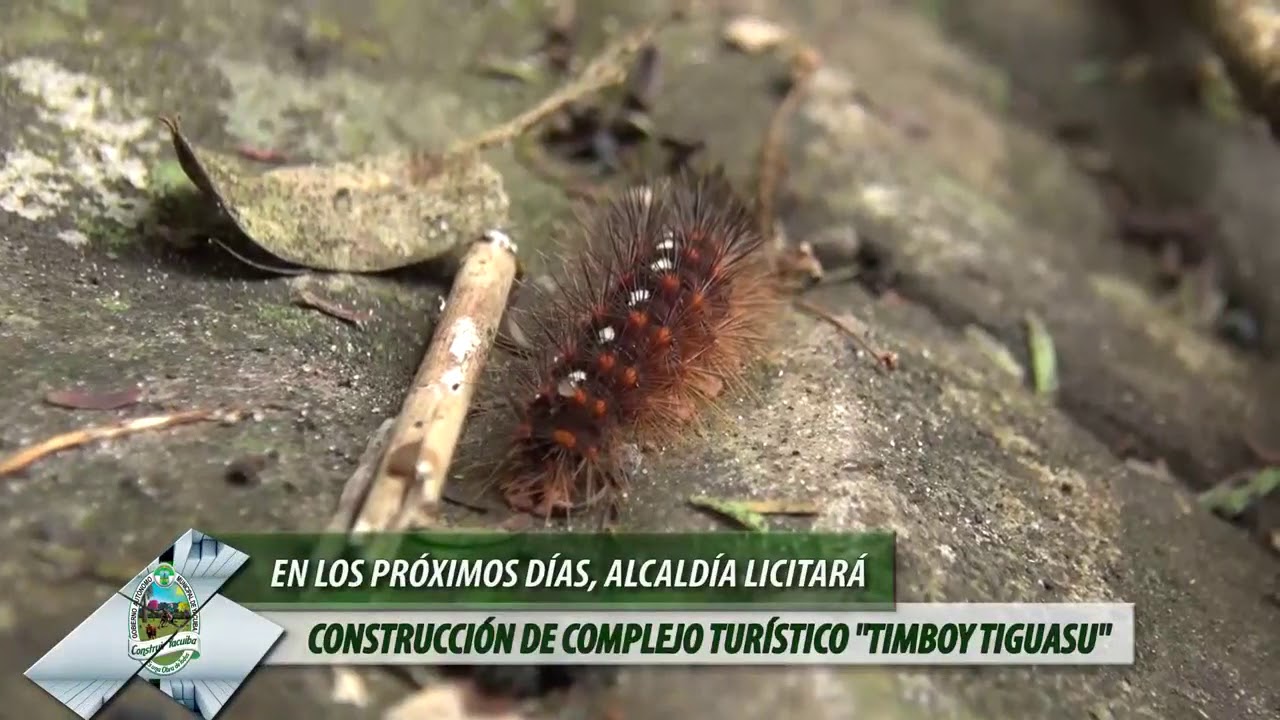 En los pr&oacute;ximos d&iacute;as Alcaldia licitar&aacute; construcci&oacute;n de complejo Turistico &ldquo;Timboy Tuguasu&rdquo;