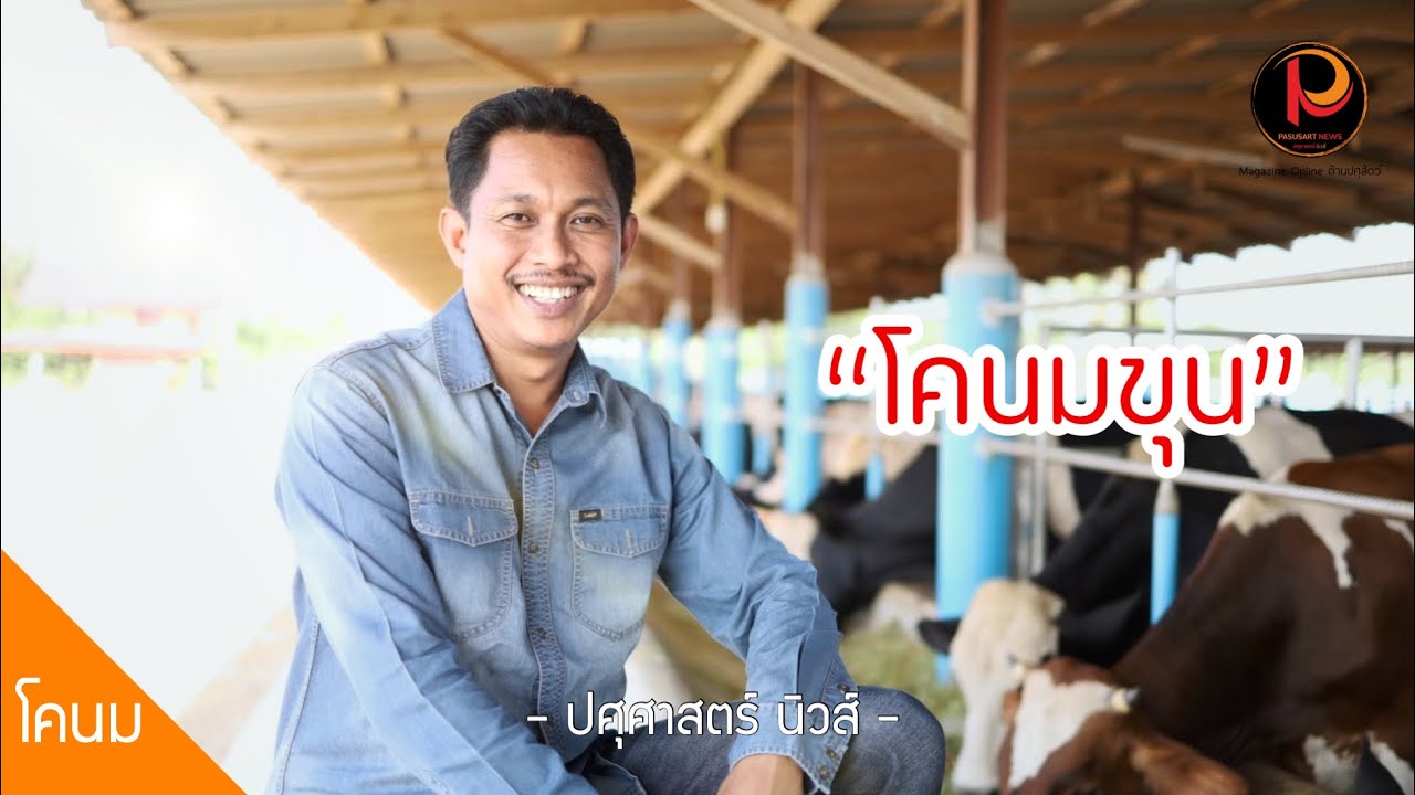 ขุน “วัวนม” 200 กว่าตัว กำไรดี ทางเลือกใหม่ของอดิศรฟาร์ม 88 (เพชรบุรี) | ปศุศาสตร์ นิวส์