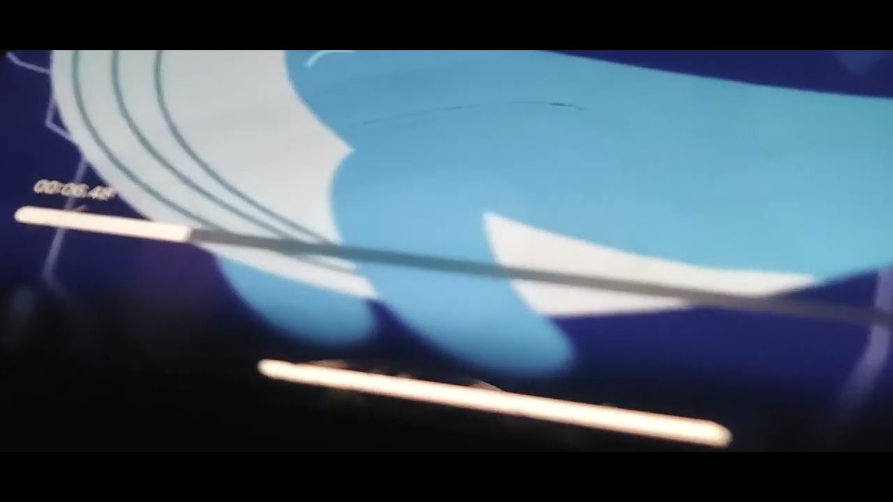 Bobby's Balloon House Whale