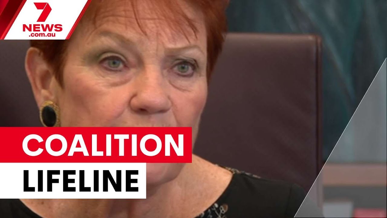 Hanson offers One Nation support to fractured Coalition | 7NEWS