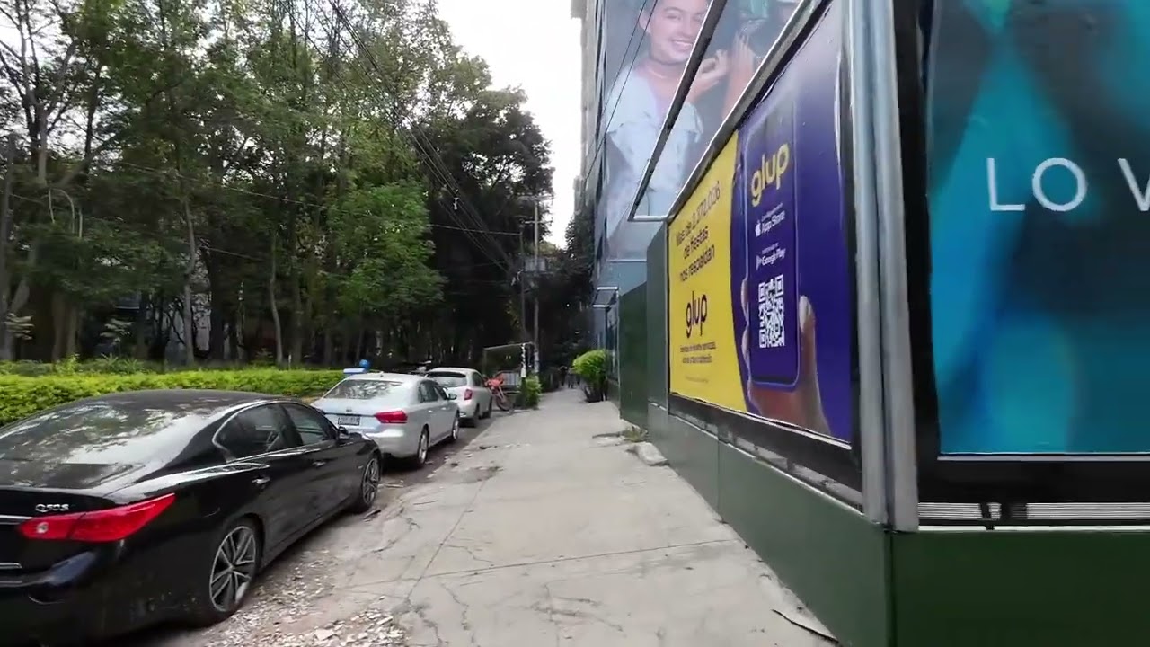 Walk the entire Avenida Amsterdam in Condesa, Mexico City.
