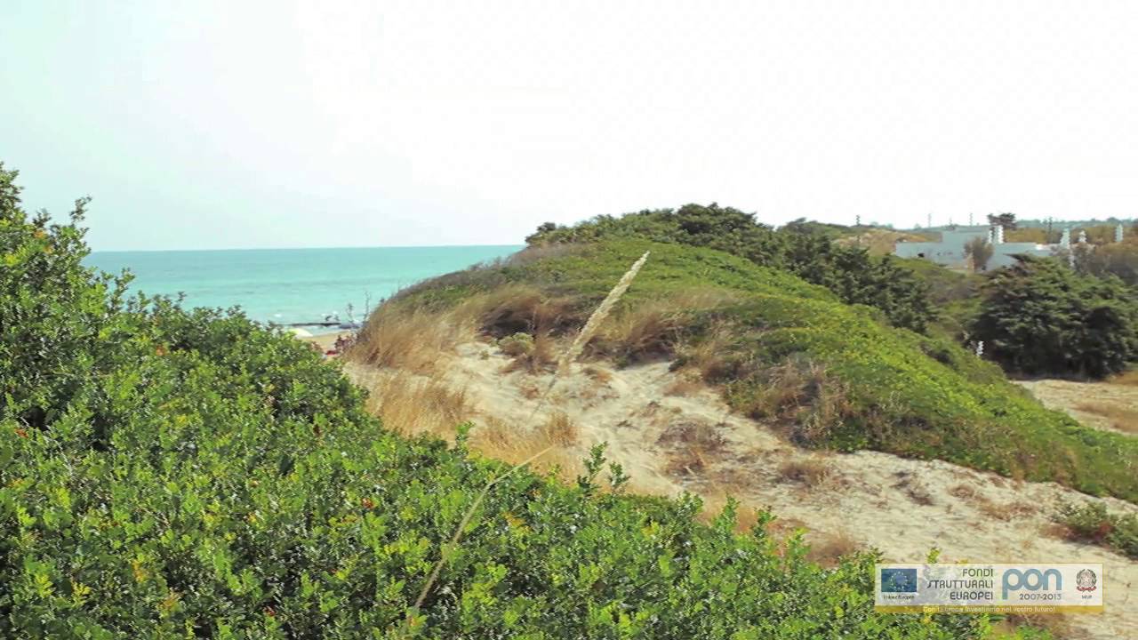 Parco delle dune costiere Fasano