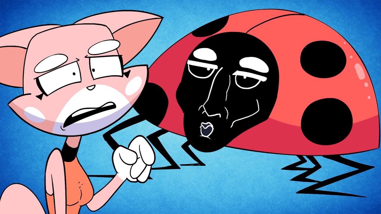 Как назвать самца божьей коровки? | Вопросы и ответы SPD № 029