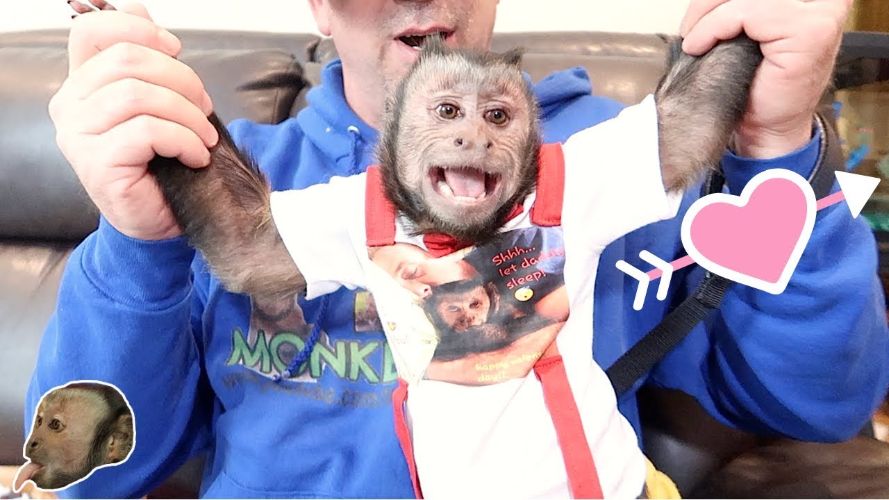 Monkey Monday Valentines Day Mail!