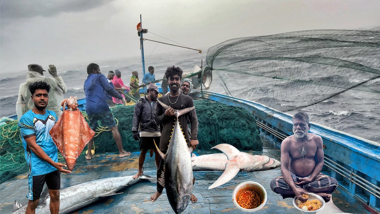 🌊 They Prepared for Days at Sea&hellip; Then a Massive Storm Hit! 🎣 | Deep Sea Fishing Adventure | Day-01