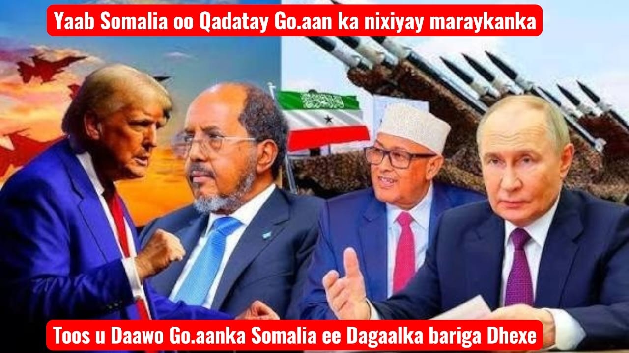 Qaraxyo iyo Qiiq: Duqayn Culus oo Ka Dhacday Isutagga Imaaraadka Carabta – Xaalad Kacsan oo Somalia