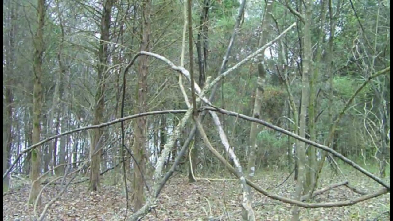Sasquatch Awareness Project - Stick Structures