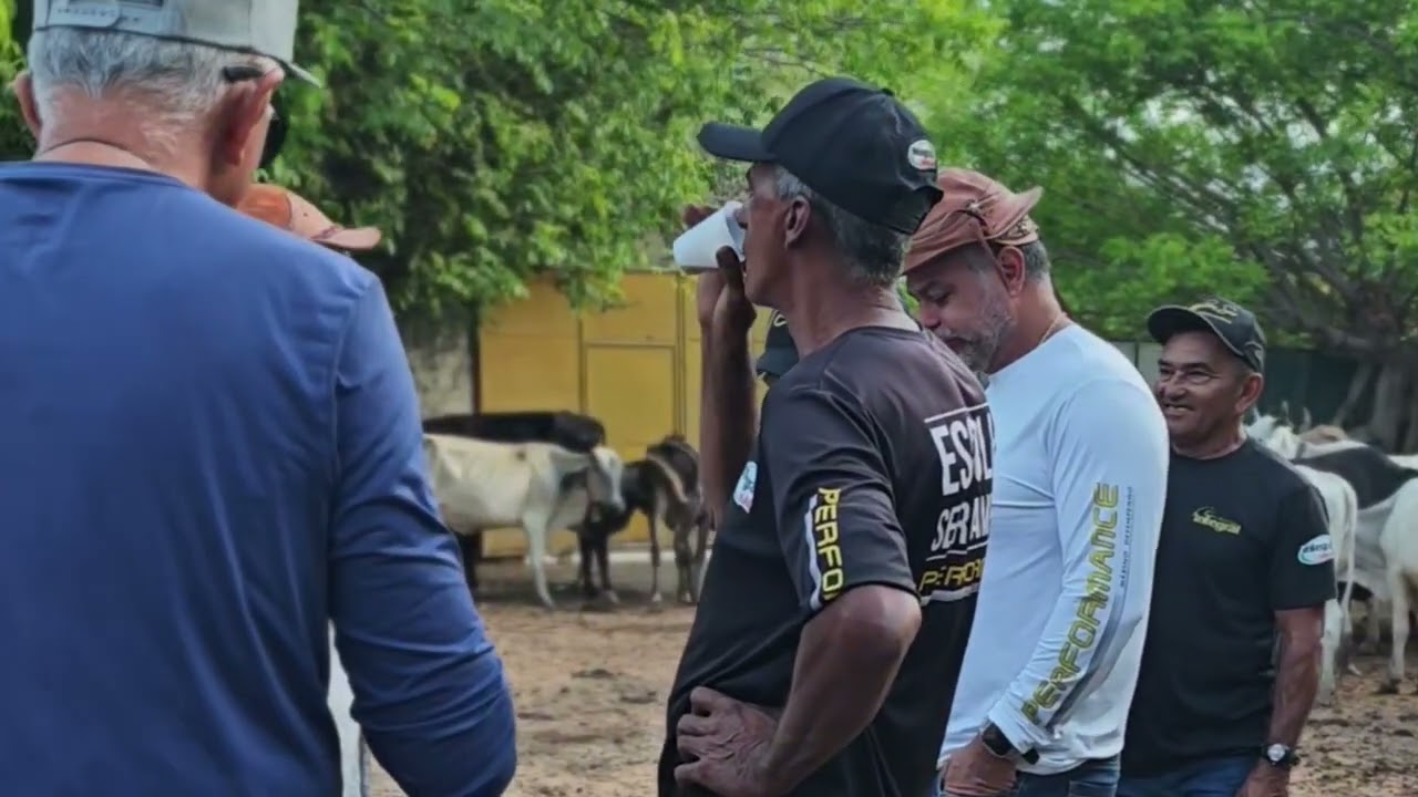 Sirano e Sirino Retirada do Gado