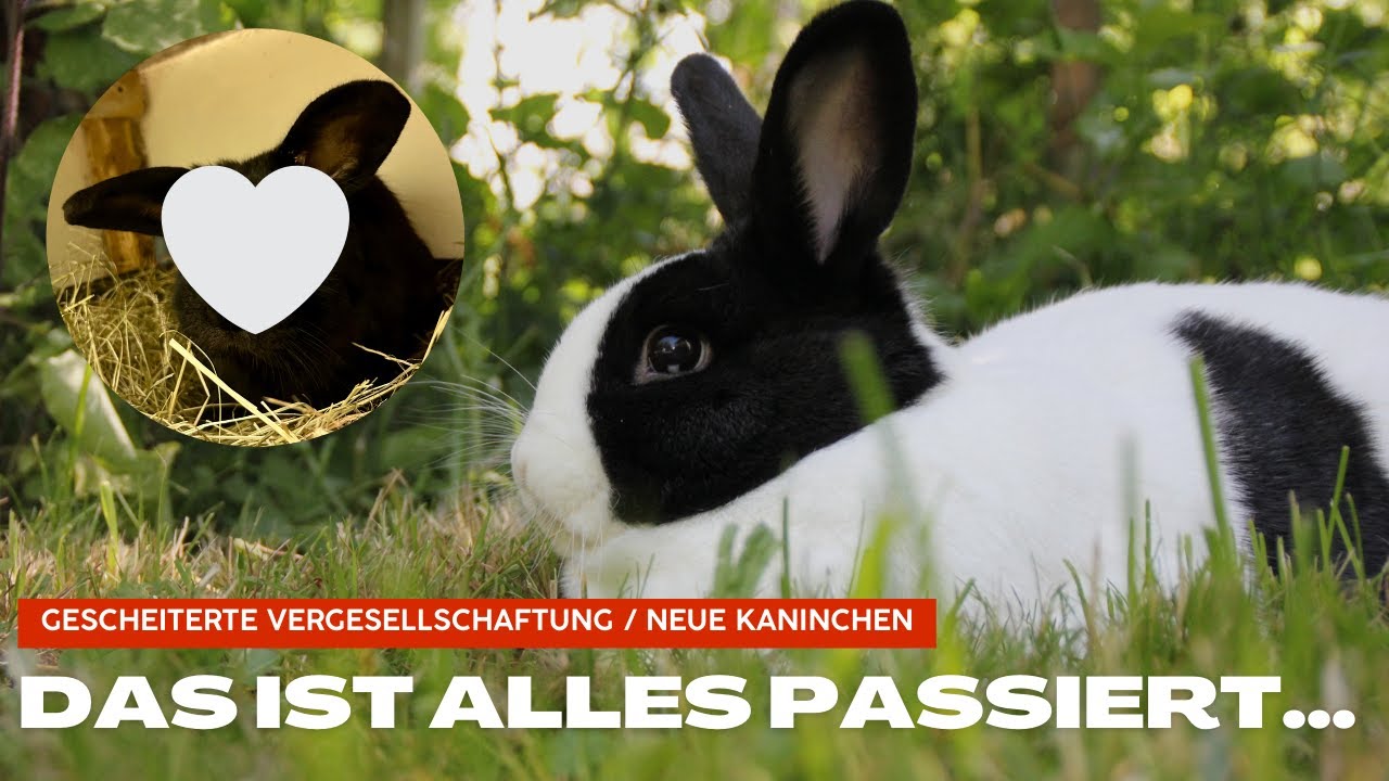 Alles ist auf einmal passiert...