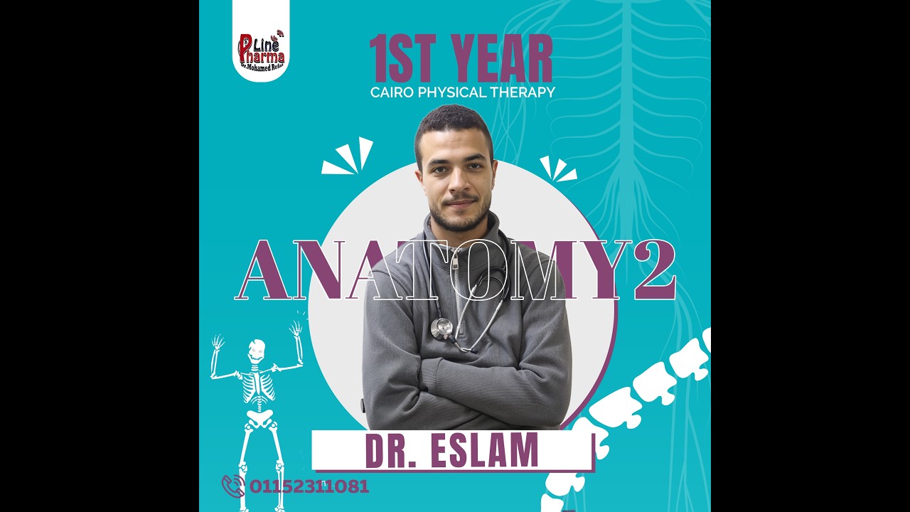Anatomy  2 Phsical Therapy L2 -Lower Limb P 2