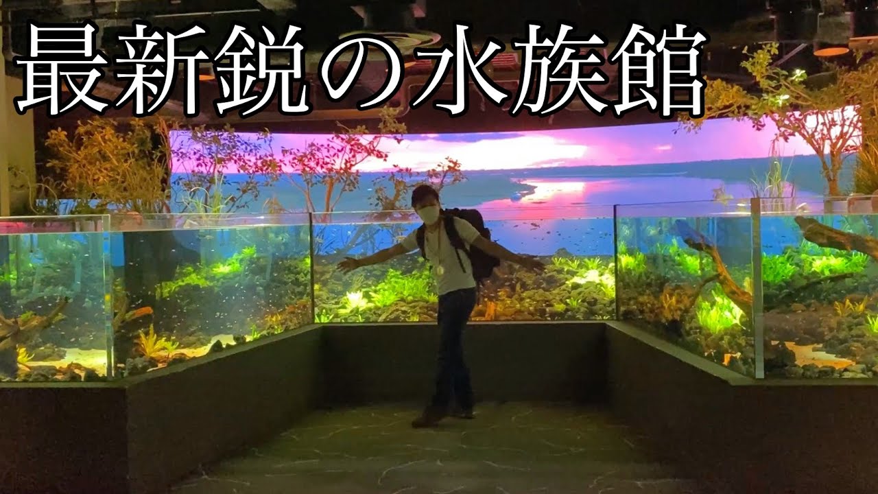 川崎に新しく出来たハイテク水族館の展示が凄過ぎた・・・！