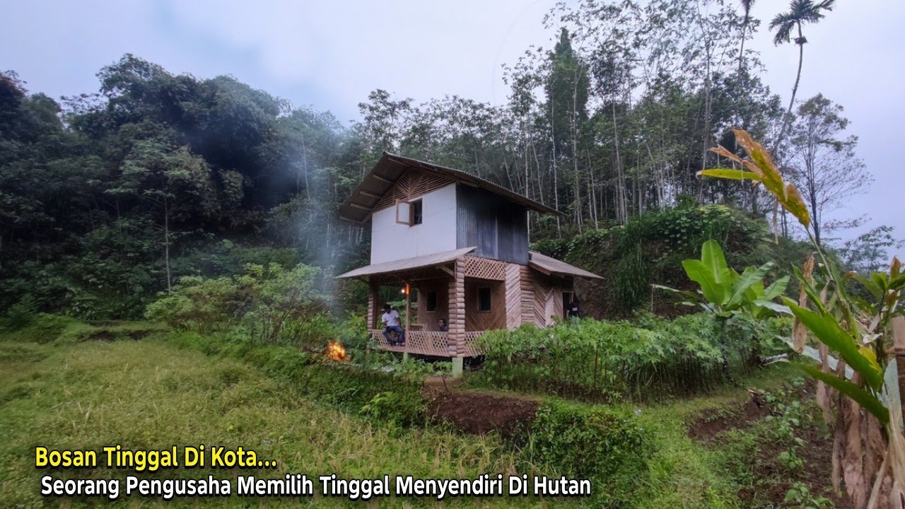 Bosan Tinggal di Kota.. Seorang Pengusaha Memilih Tinggal Menyendiri di Hutan