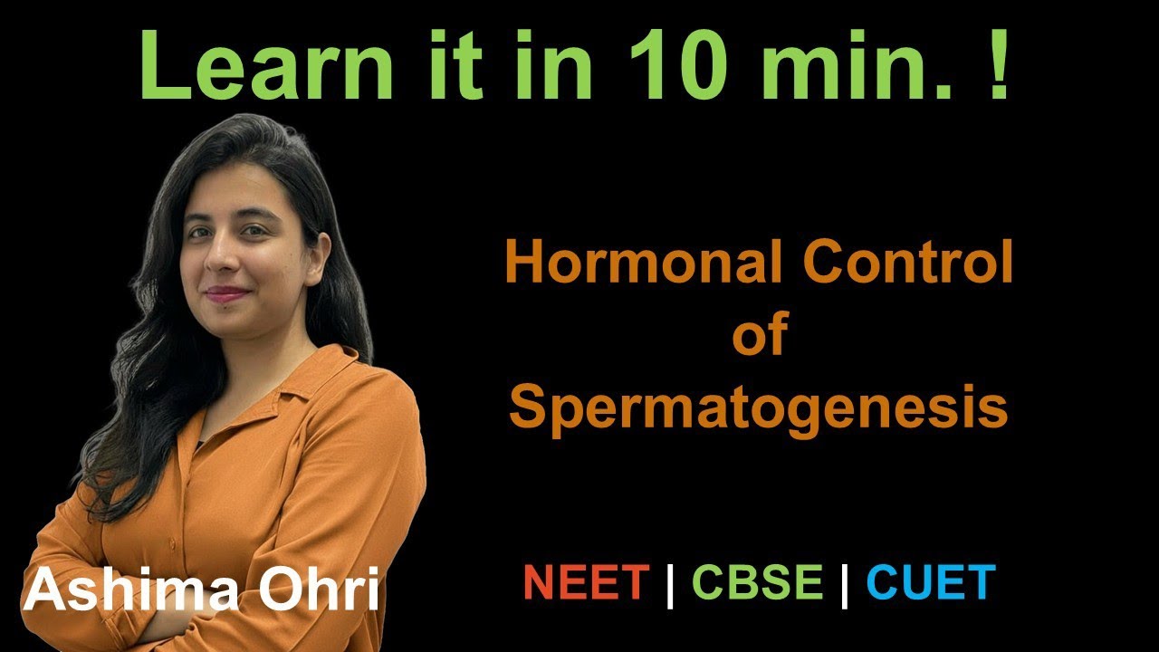 Hormonal Regulation of Spermatogenesis 