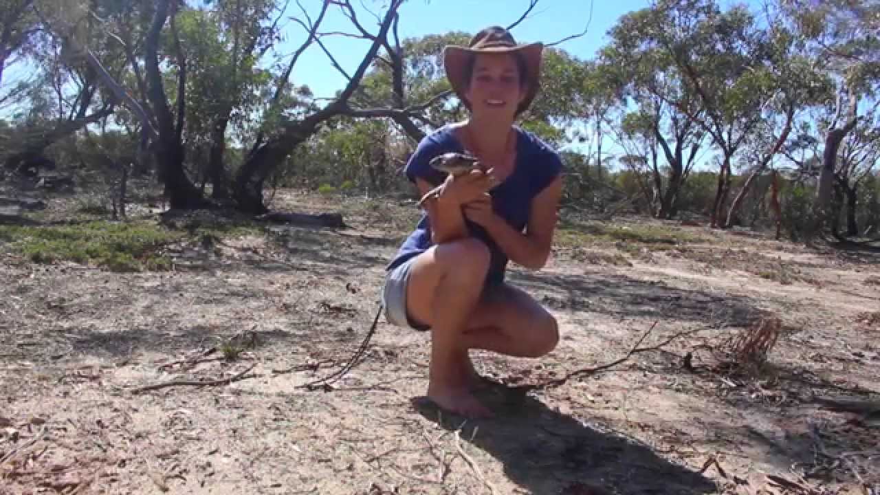 Amy Wild Adventures: A Night in the Wheatbelt (Easter Special)
