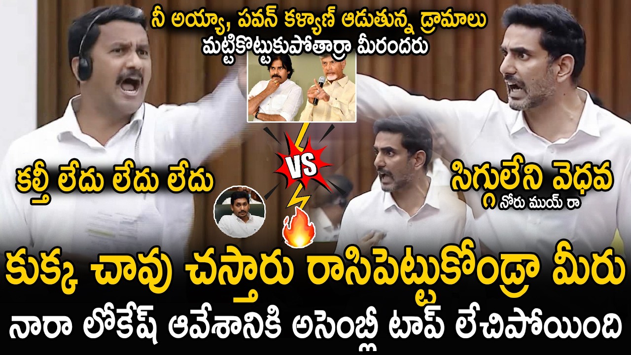 Nara Lokesh Vs YSRCP Aggressive Argument In Council About Tirumala Laddu | Pawan Kalyan | CBN | Stv