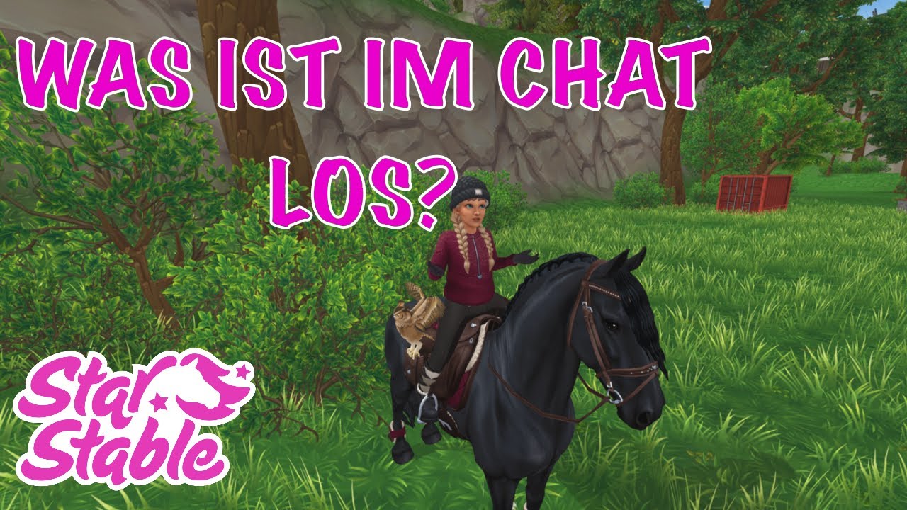 Beleidigungen im Chat | Star Stable Online