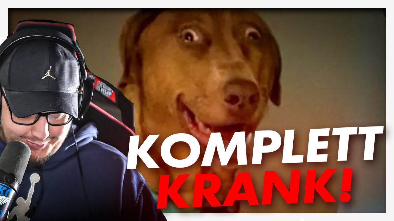 Das WITZIGSTE HUNDE VIDEO des Jahres