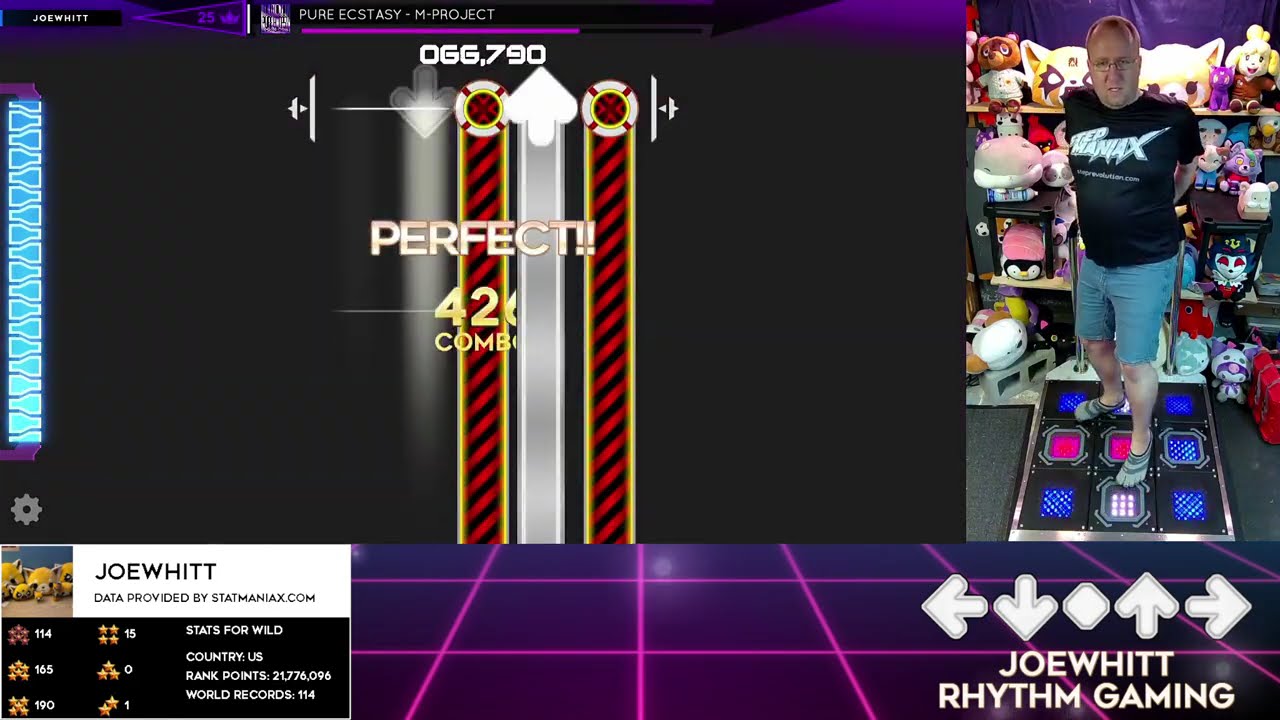 (StepmaniaX) Pure Ecstasy Wild-25 [99.208%]