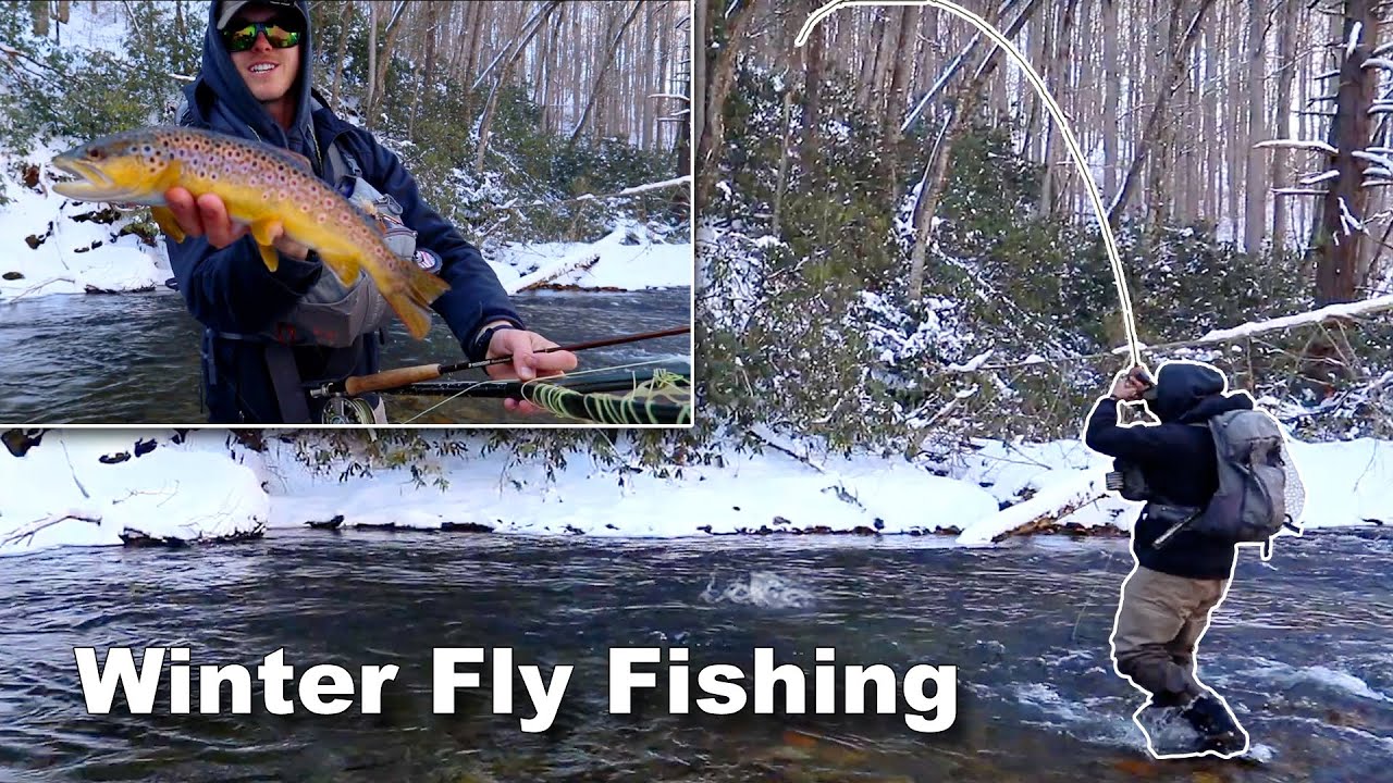 Winter fly fishing on the Davidson River!! (catching trout)