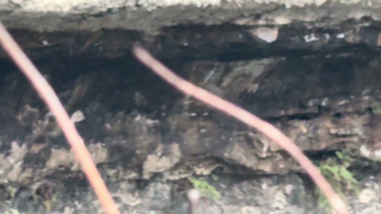 Revisiting st edwards park. Bull creek. Nature hike Austin Texas 