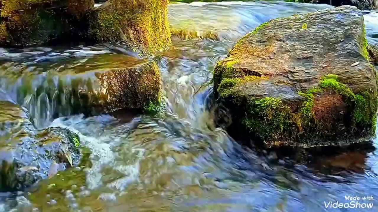 كيف تحسيني صحتك لنفسية