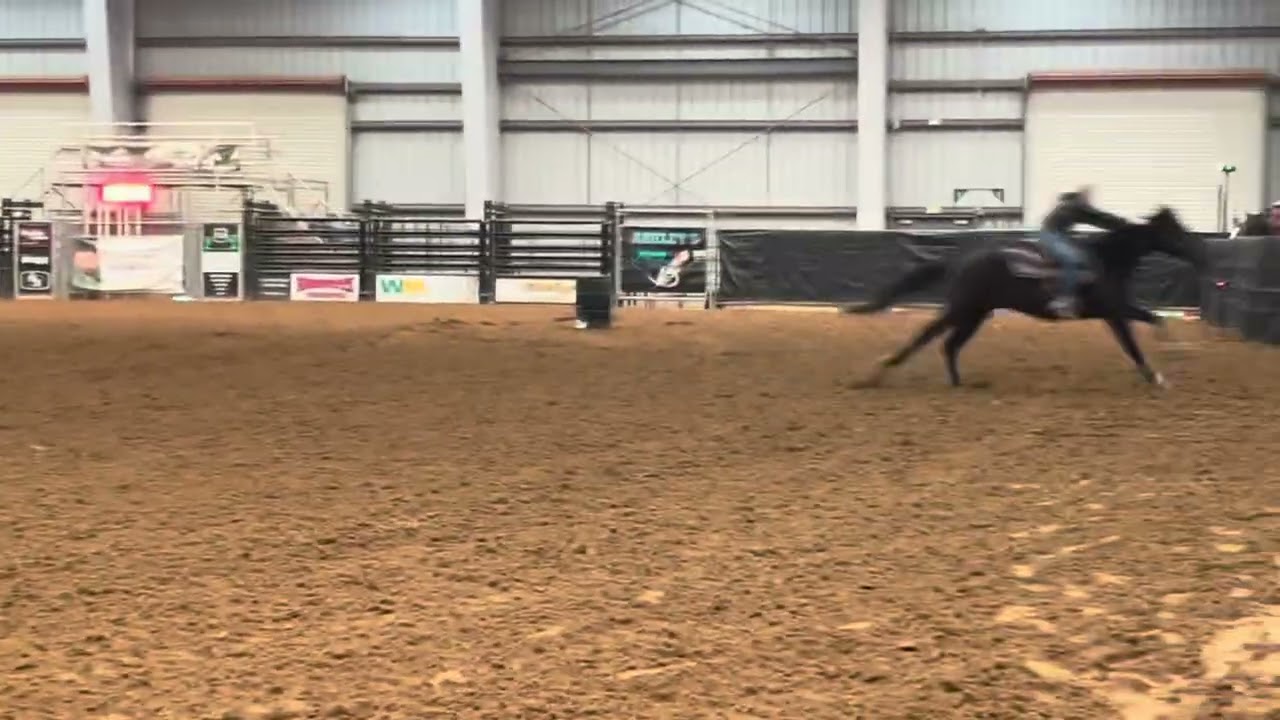 Chasing A Slick Time 1D Barrel Horse