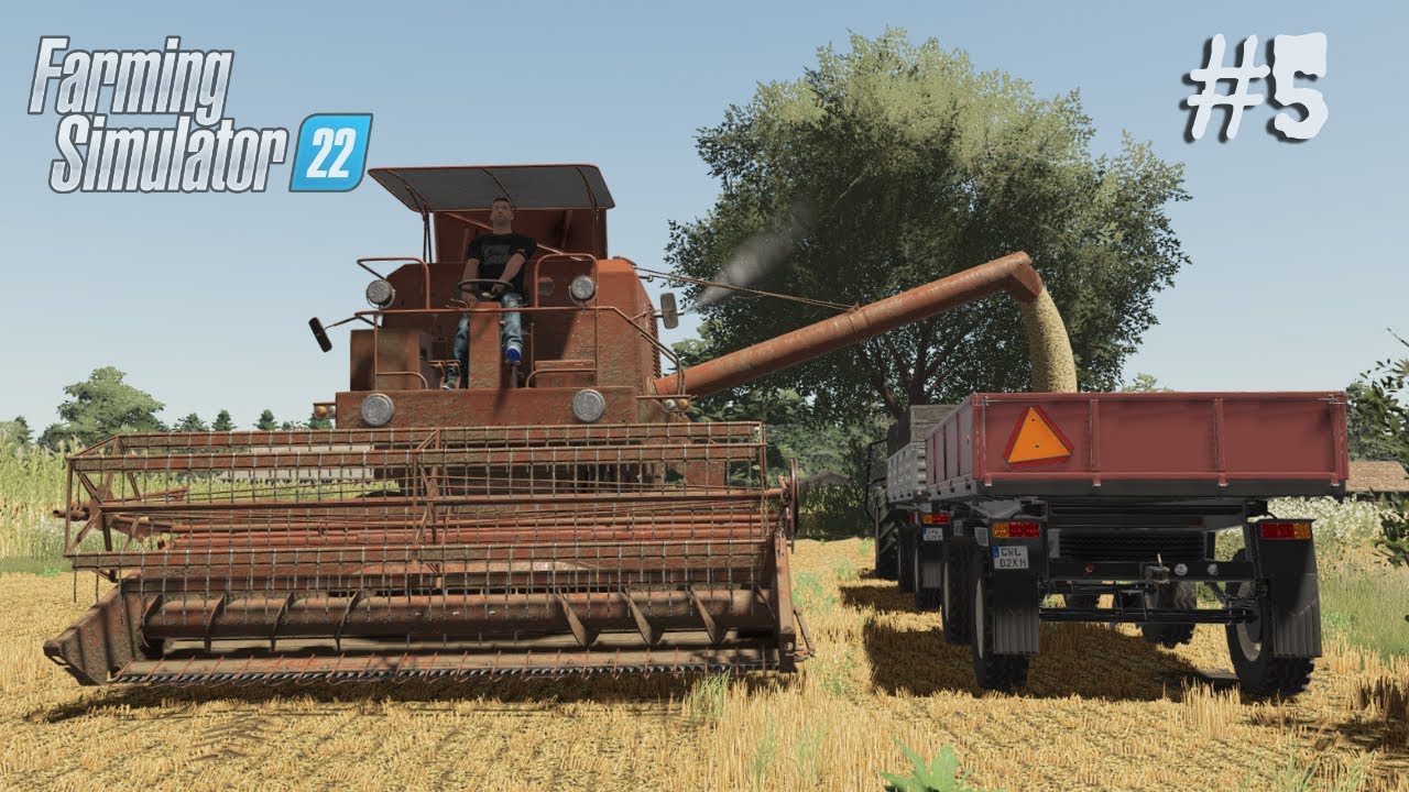 Bizon Z040 w owsie! 😍 Ostatnie żniwa w tym sezonie! 🤠 