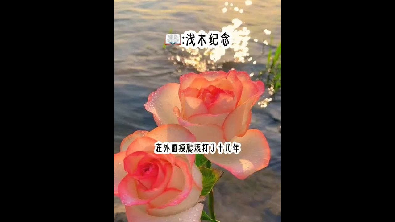 书茗《浅木纪念》摸打滚打十几年，一路爬上上杀手老大的地位，却被告知是富家流落在外的真千金，刚转到贵族学校被人以为是土包子，我直接一个帅气停车，看呆了所有人。#超爆小故事 #小说 #爽文 #二次元 #