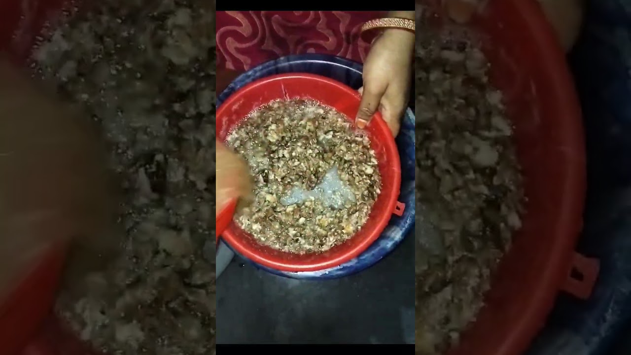 ব্লগ ভিডিও 