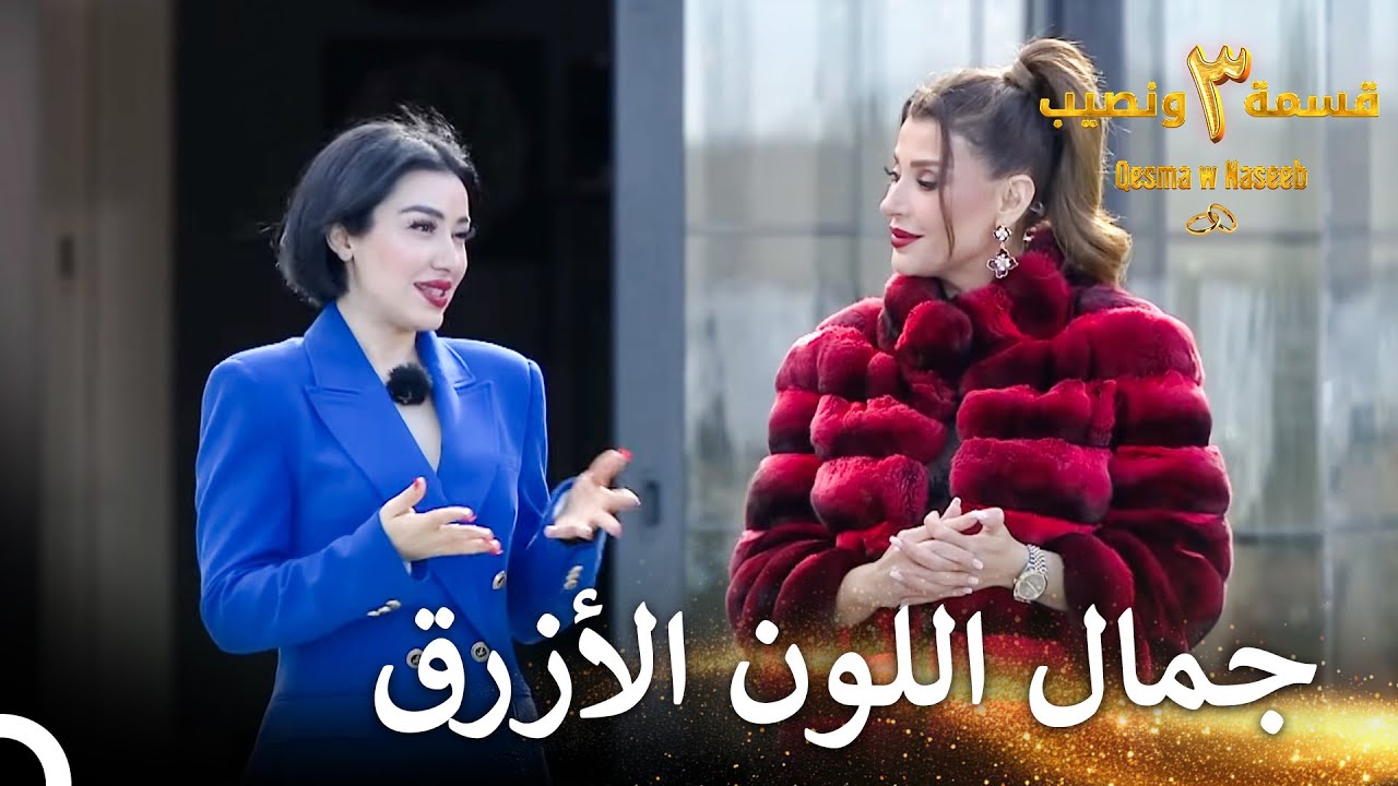 الجميلة شاهيناز بيننا | قسمة ونصيب الموسم 3 الحلقة 74 - Qesma w Naseeb