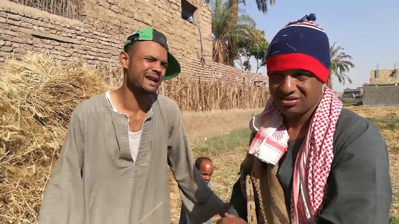 الحاج الضوى موتوه ضرب عشان القمح