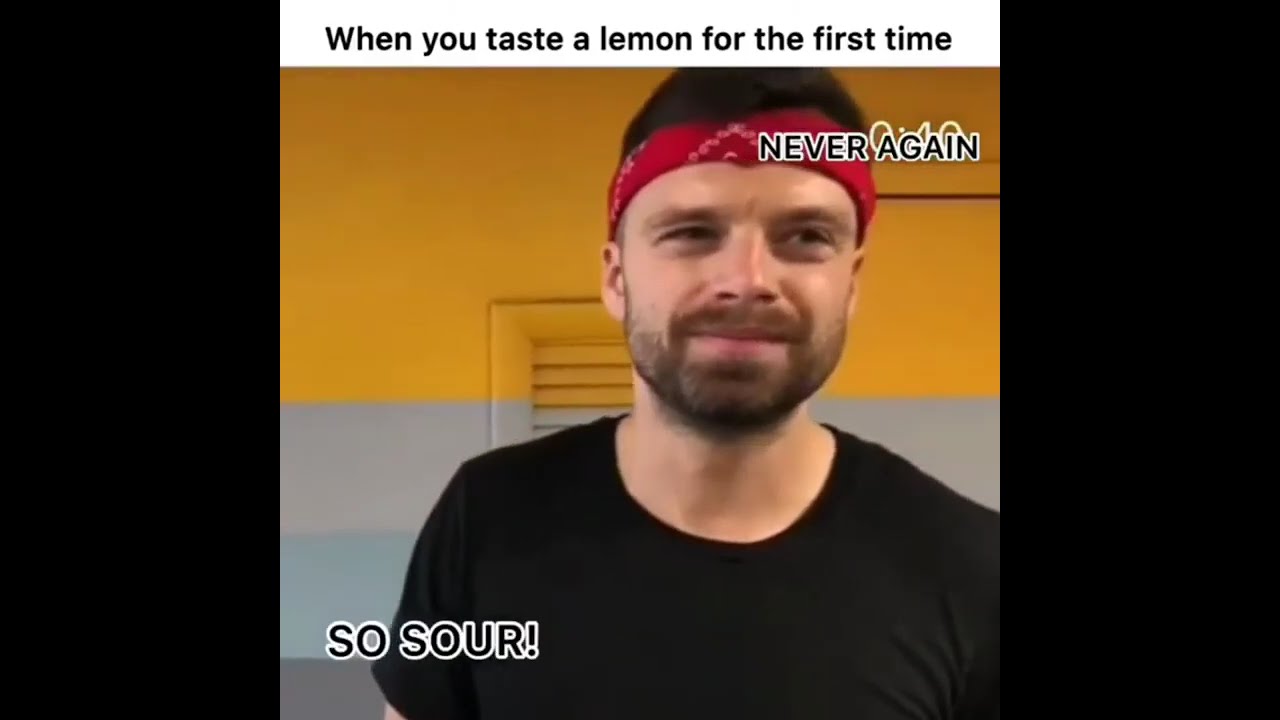 sebastian stan memes that keep me going ❤