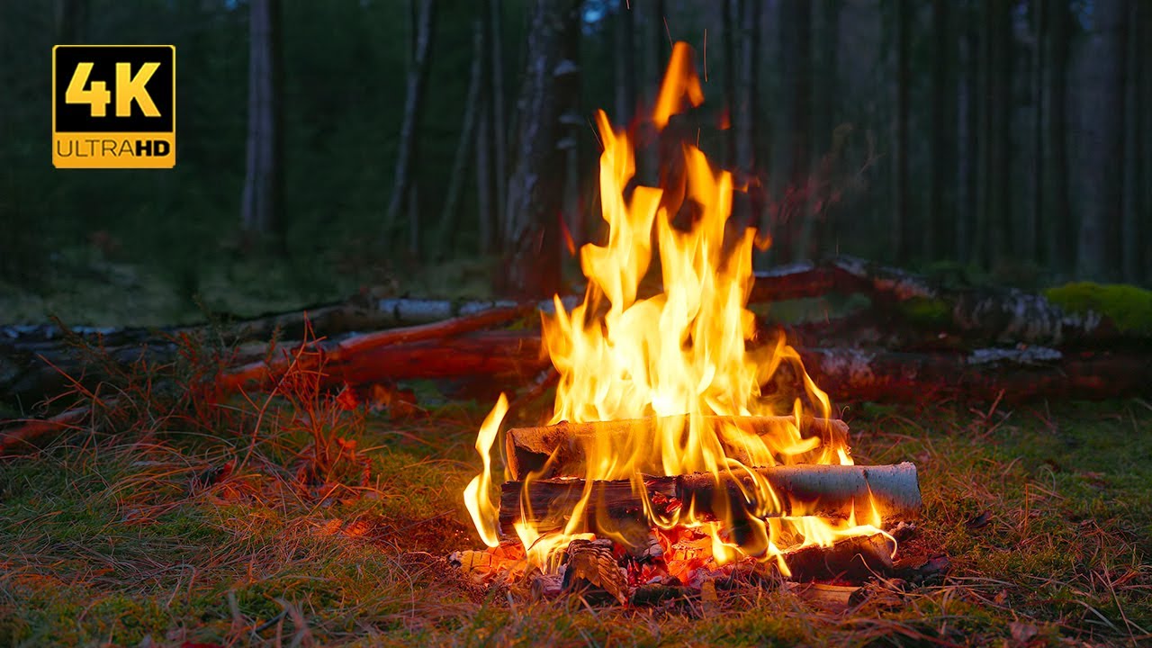 4K 📺 Костер в дремучем лесу🌲 Таинственная успокаивающая атмосфера