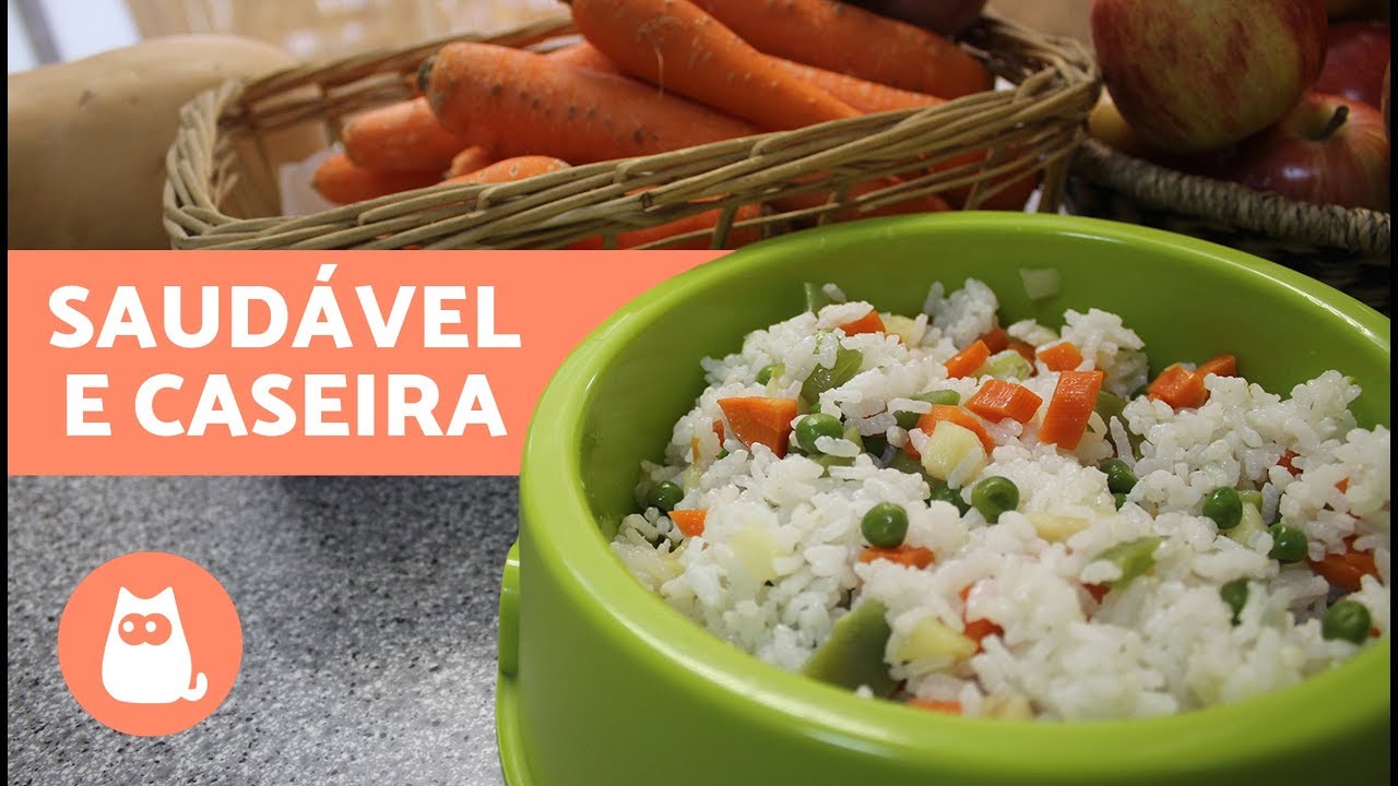 COMIDA NATURAL para CACHORRO - Saudável e caseira