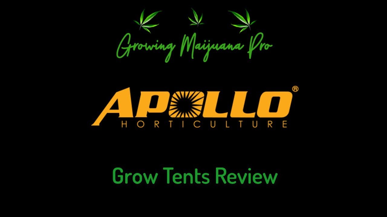 Apollo Grow Tents Review