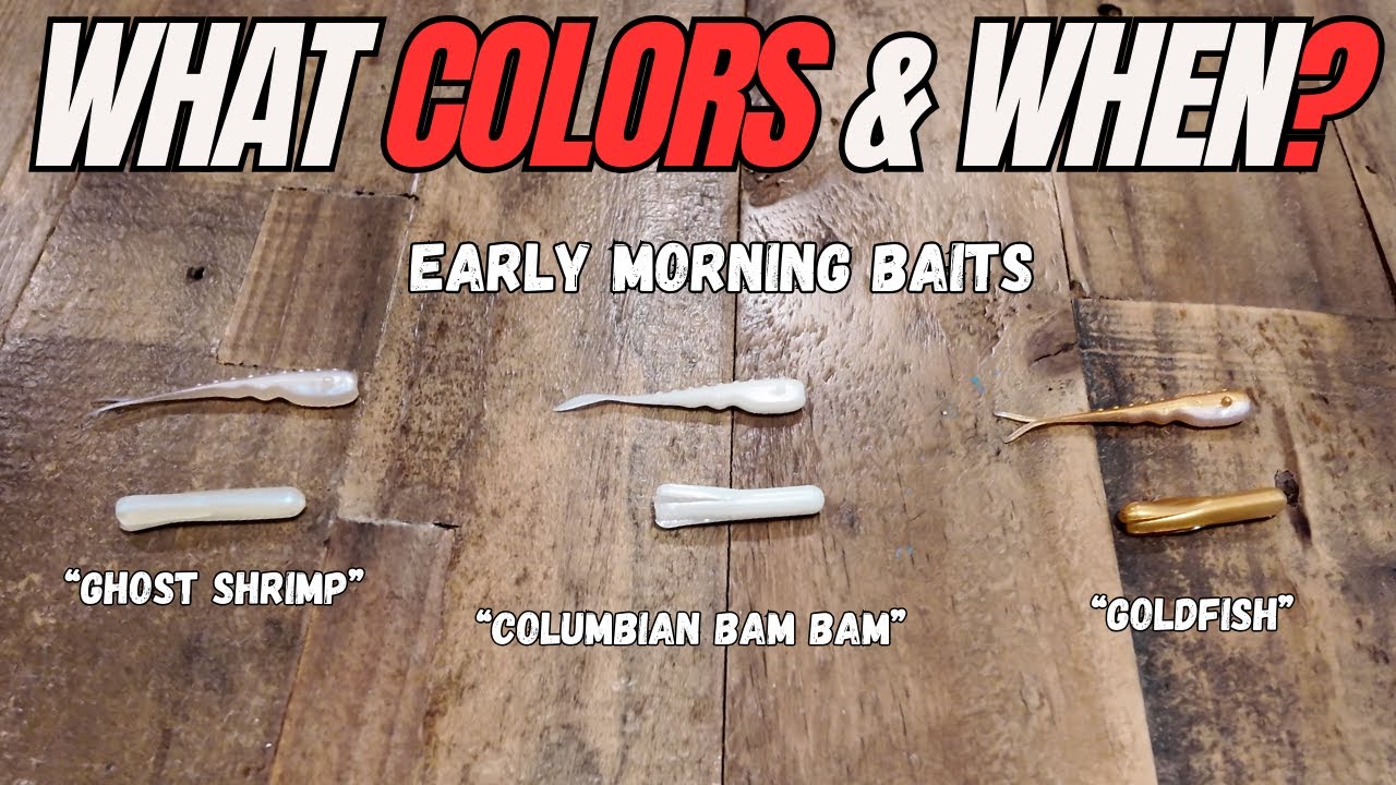 How To Catch TROUT In the Eastern Sierra: What Color Should I Use? - Crowley Lake