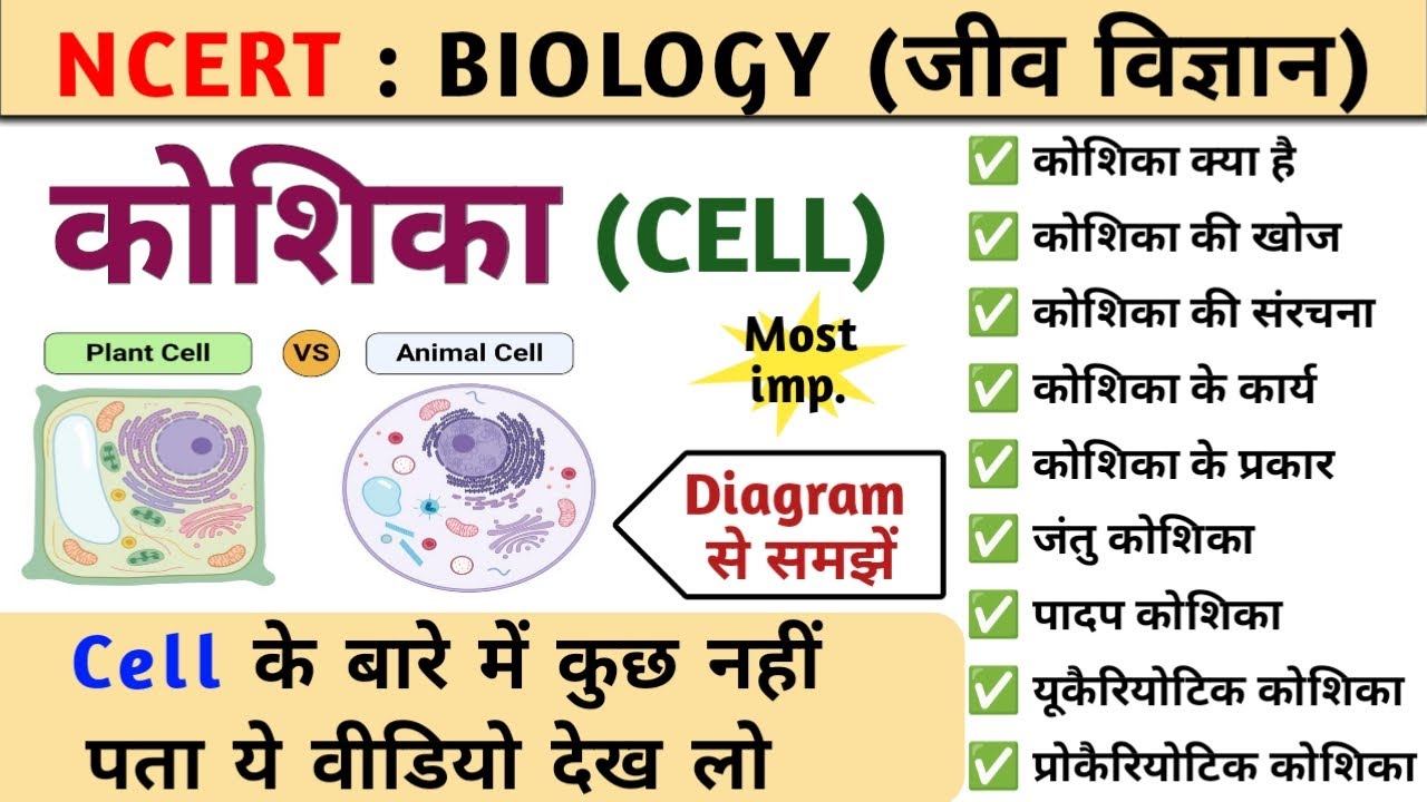 कोशिका : Cell | cell structure | कोशिका की संरचना और कार्य | Biology | Study vines official