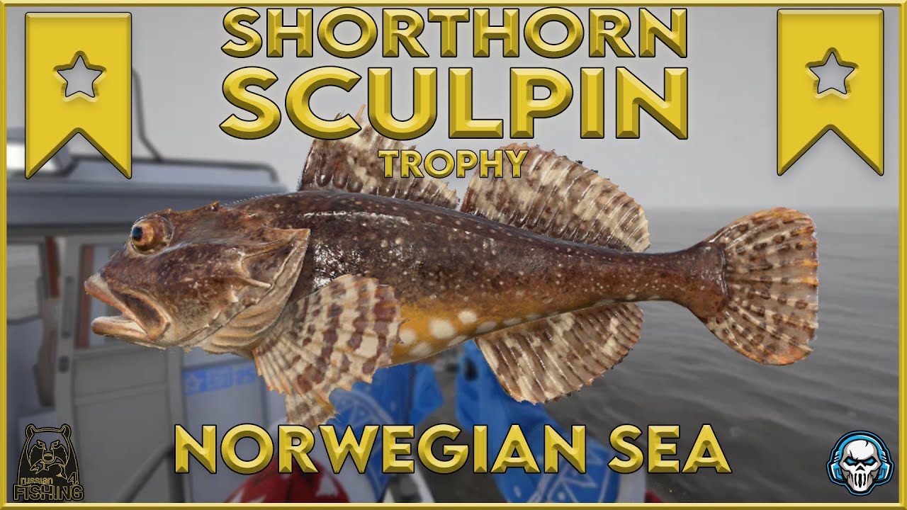 SHORTHORN SCULPIN TROPHY! NORWEGIAN SEA - Russian Fishing 4 #rf4 #русскаярыбалк