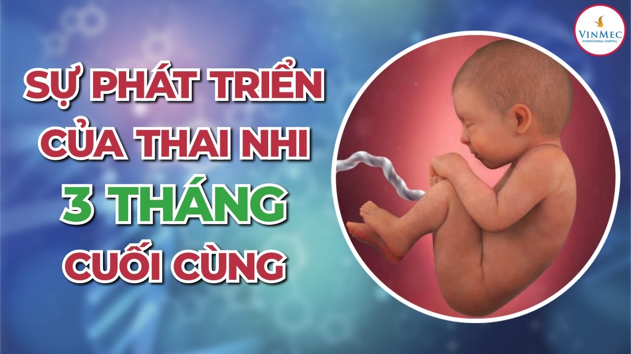 Sự phát triển của thai nhi 3 tháng cuối thai kì